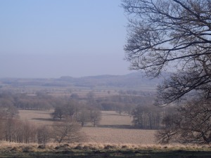 Petworth Park view top of hill